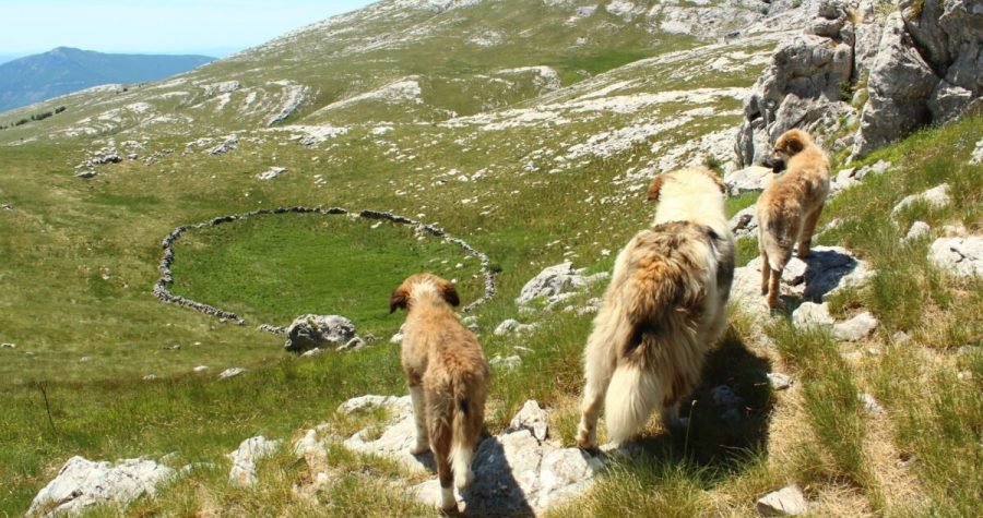 (Ne)održivi turizam: Bojevo gađanje i zabrana kretanja na granici priželjkivanog Parka prirode Dinara