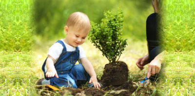 Ilustracija: dječak sadi stablo (foto www,jnf.ca)