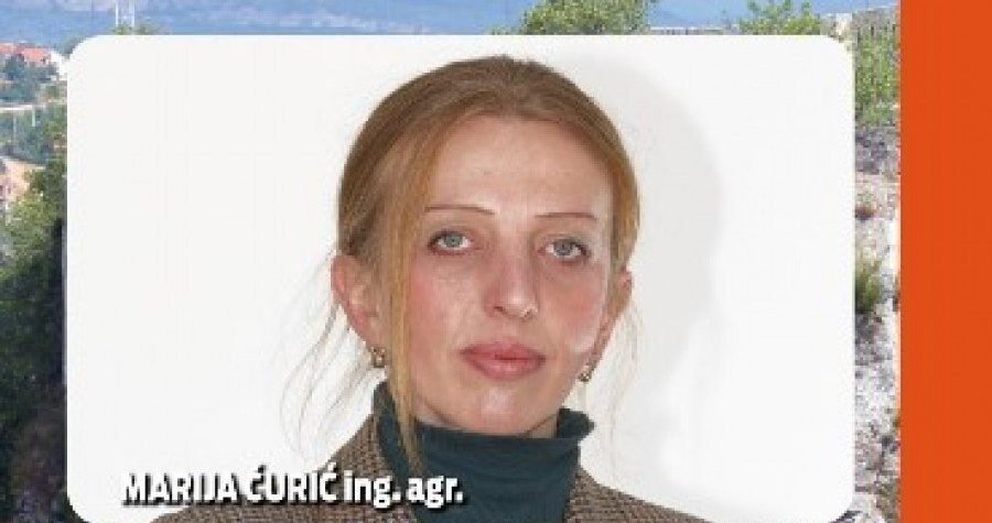 Kninska gradska vijećnica Marija Ćurić (Most) traži hitno sazivanje tematske sjednice GV-a radi sanacije laguna otpadnih voda