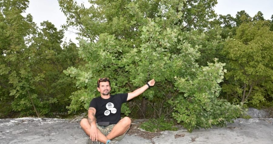 Znanstvenik i poduzetnik Dušan Jelić: ‘Razvijam inovativnu tehnologiju za pošumljavanje opožarenih površina i globalnu borbu protiv klimatskih promjena’