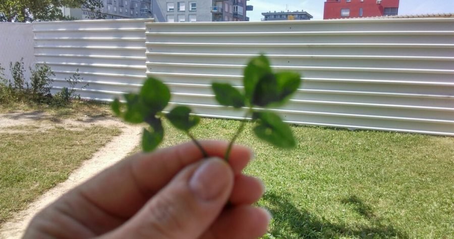 Štetne izmjene zagrebačkog GUP-a: Stanogradnja bez minimuma sunčevog svjetla, pojačano zračenje baznih stanica, benzinske postaje u vodocrpilištima…