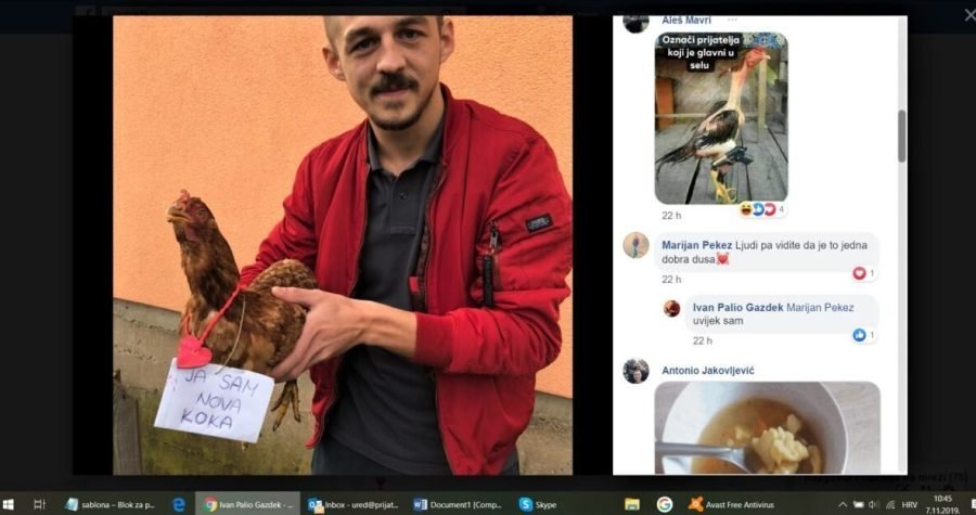 Slučaj ‘kokoš na volej’ – Prijatelji životinja pišu Hrvatskom nogometnom savezu: Kaznena prijava reanimirala kokoš