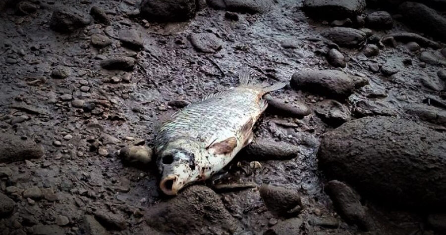 I nas se tiče: Truje li mostarski deponij Uborak i dolinu Neretve i Jadransko more? Sutra novi prosvjed…