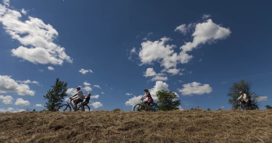 SEFF: Jedinstveni domaći putujući festival o zaštiti okoliša i prirode održat će se i ove godine, bez budžeta i virtualno