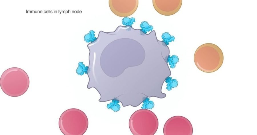 Utrka laboratorija: 115 kandidata za cjepivo protiv COVID-19