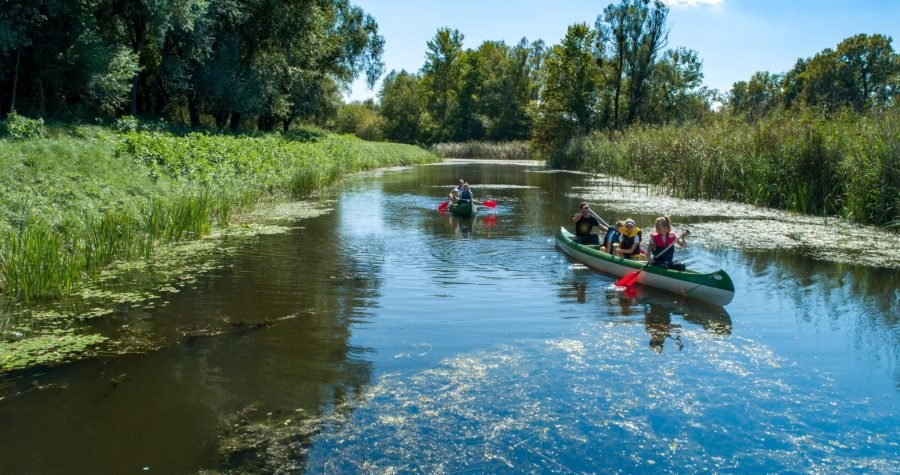 Otvara se Zelena greda: Šetajte uživo po Kopačkom ritu, družite se s konjima, pentrajte se po krošnjama, navalite na čobanac…