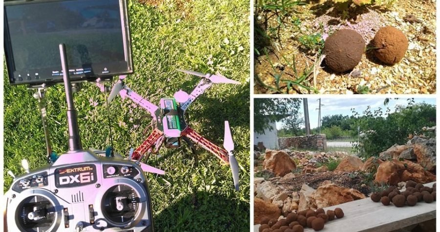 Leteće sjeme: Domaća tvrtka testira tehnologiju pošumljavanja ogoljelih šumskih područja pomoću drona