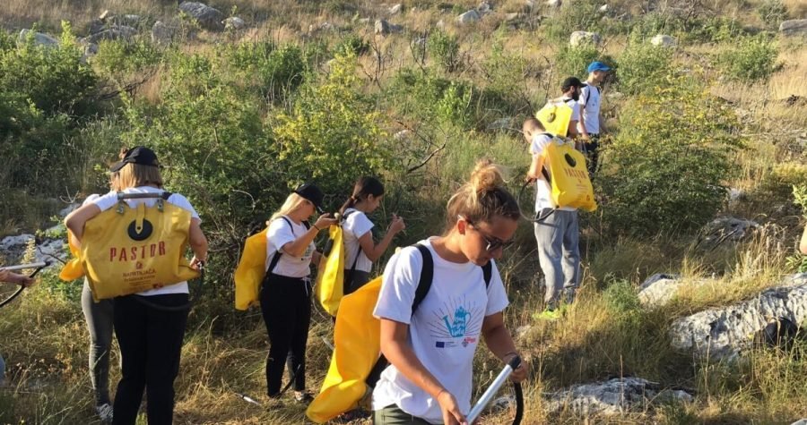 Budi moja voda: Volonteri zalili na tisuće sadnica stabala posađenih u akciji pošumljavanja dalmatinskih opožarenih područja