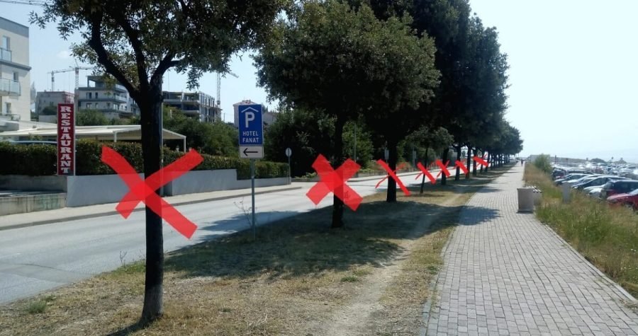 Drvocid: Splitske vlasti uklanjaju jedini drvored na betoniziranom Žnjanu zbog proširenja ceste i parkinga
