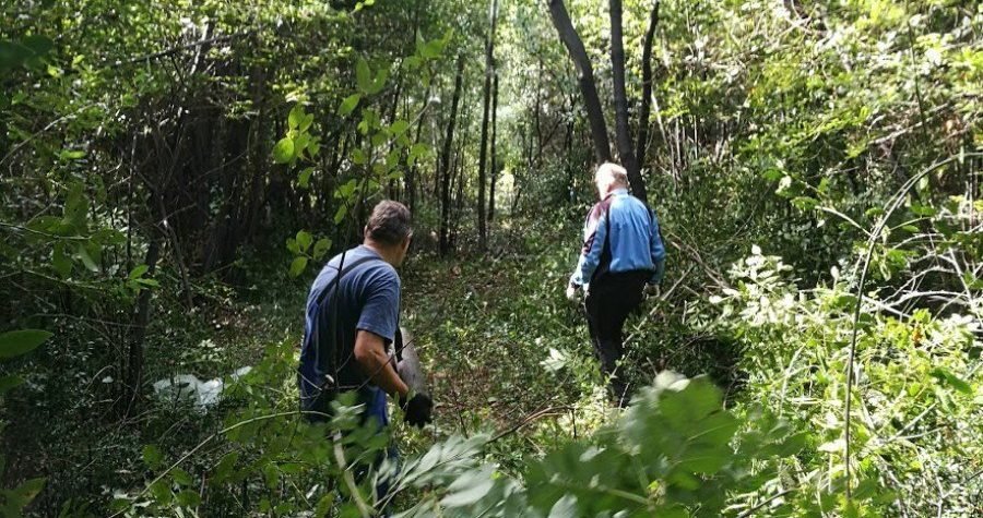 Zeleni val: Riječki planinari grade novi gradski park u zarasloj šumi lovora