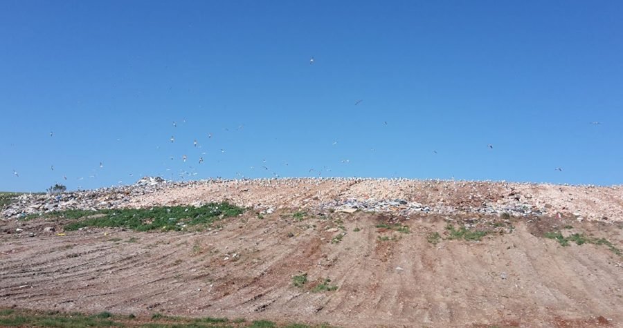 Brdo smeća: Nema više mjesta na zadarskom deponiju, Državni inspektorat naložio zatvaranje do kraja godine