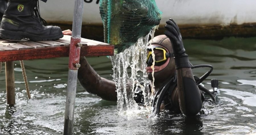 Šibenik Eko 2020: Ronioci iz cijele Hrvatske sudjelovali u dosad najvećoj akciji čišćenja šibenskog podmorja