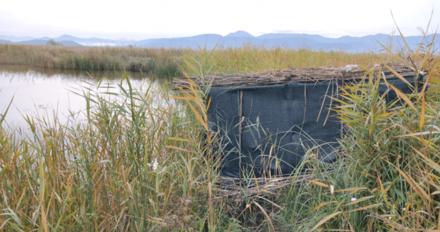 ‘Uklonili smo krivolovačku čeku u ptičjem rezervatu na Neretvi’