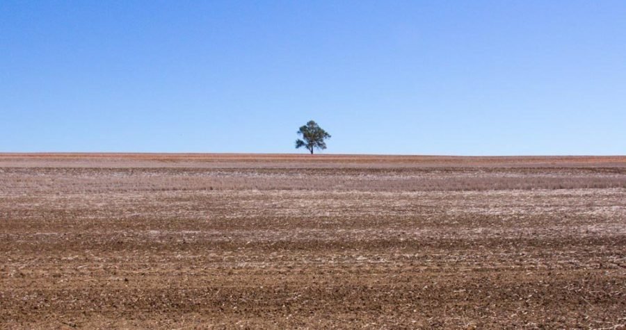 400 milijardi eura za financiranje samouništenja?: ‘Tri najveće političke grupacije Europskog parlamenta ‘ispod stola’ postigle ekološki destruktivan dogovor’