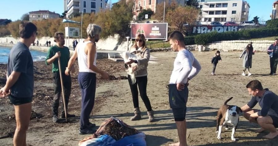Suludi okršaj: Piciginaše s Bačvica napala direktorica tvrtke koncesionara jer su volonterski čistili plažu