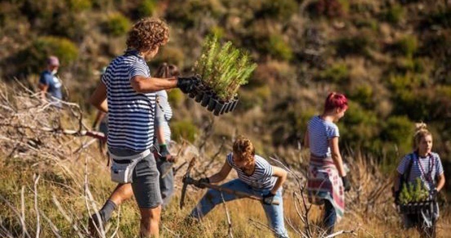 Boranka: Inicijativa pošumljavanja opožarene Dalmacije dobila nagradu Europski građanin