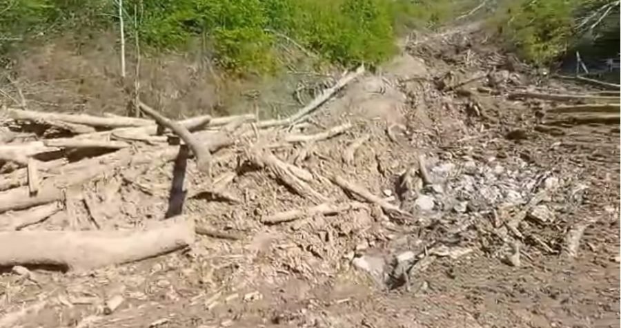 Zeleni odred-forum nakon obilaska opustošenog Žumberka: Od zatečenih prizora posramili smo se što pripadamo ljudskoj vrsti…