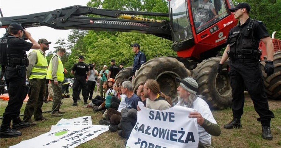 Europarlamentarci protiv gradnje zida na poljsko-bjeloruskoj granici: Opasno za prašumu, biološku raznolikost i ljudska prava migranata