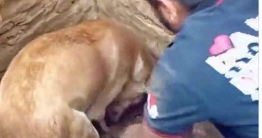 Kratka ( potresna ) priča: Majka