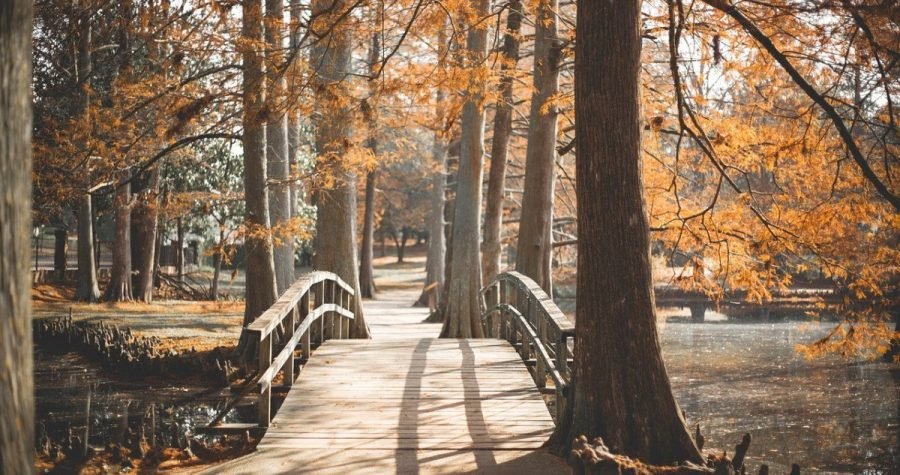 Moderni europski gradovi razvijaju zelenu infrastrukturu kao štit od klimatskih promjena, dok Hrvati betoniraju