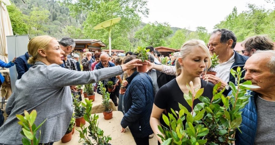 Prvomajske sadnice: Na Skradinskom buku podijeljeno tisuću lovora i planika