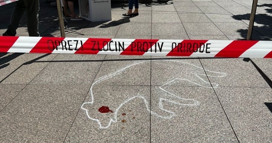 Oprez, zločini protiv prirode: Ubijanje medvjeda, tamanjenje trpova i prstaca, trovanje orlova i supova, trgovina mrtvim pticama pjevicama…