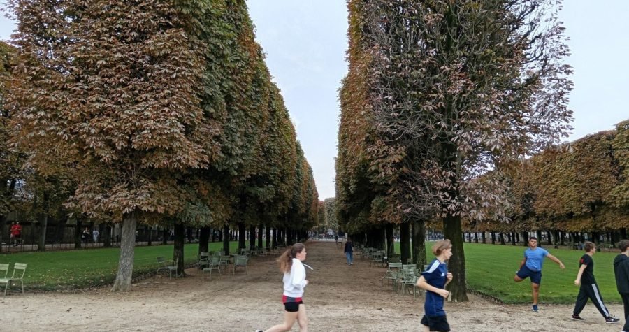 Pariz – grad ljubavi, svjetla, romantike i… ekologije