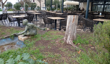 ‘Šušur’ presudio stablu: Zbog pergole ili kućice posjećeno veliko stablo ispred hotela Jadran