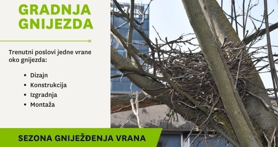 Počinje građevinska sezona bez korupcije, provizija i betoniranja: Vrane i (s)poticana stanogradnja gnijezda
