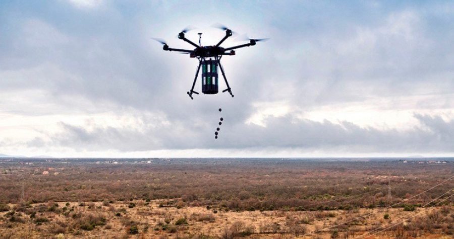 Spas za devastirane i spaljene hrvatske šume: Sadnja dronovima i ‘bombicama’ sjemenja