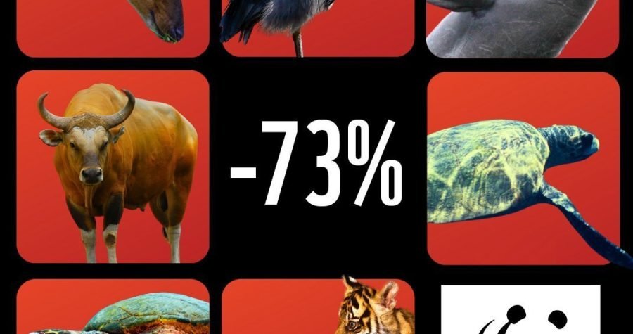 Planet idiota: Mi ljudi pobili smo dvije trećine ‘divljih vrsta’ u svega 50 godina