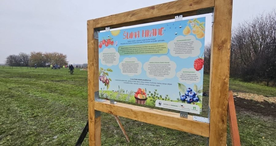WWF: Šuma hrane za ublažavanje klimatskih promjena