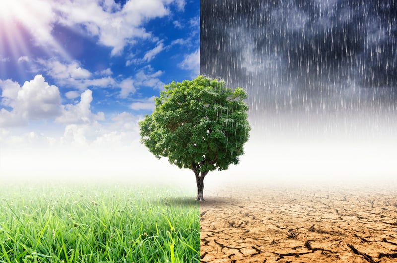 utjecaj klimatskih promjena na vodu