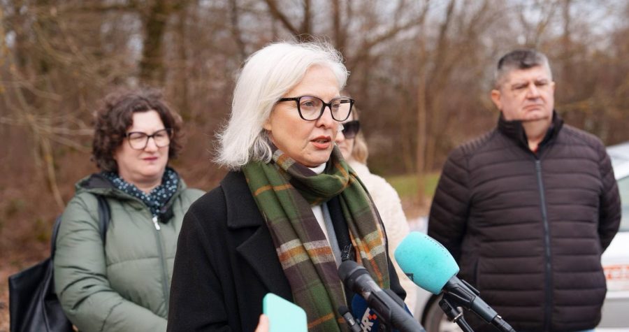 Dušica Radojčić, zastupnica Možemo, Plenkoviću:„Otpadni kriminalci ne djeluju unatoč državi – već zahvaljujući državi!”