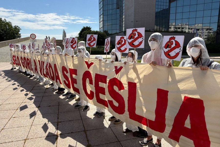 Prosvjed protiv megaklaonica: „Selo gori, a Vlada se češlja”
