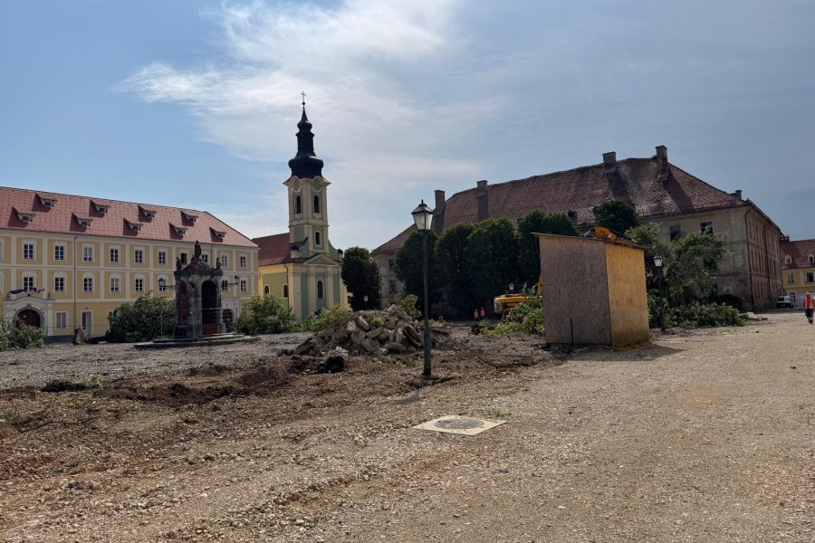 Neviđena brutalnost HDZ-ove vlasti: U Karlovcu danas posjekli stoljetne lipe na Jelačićevom trgu unatoč protivljenju tisuća građana (na koje su poslali policiju) policiju