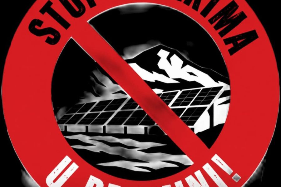 Buna protiv solarnih profitera u Promini: “Graditi solare je van svake pameti, nehuman i neljudski čin!”