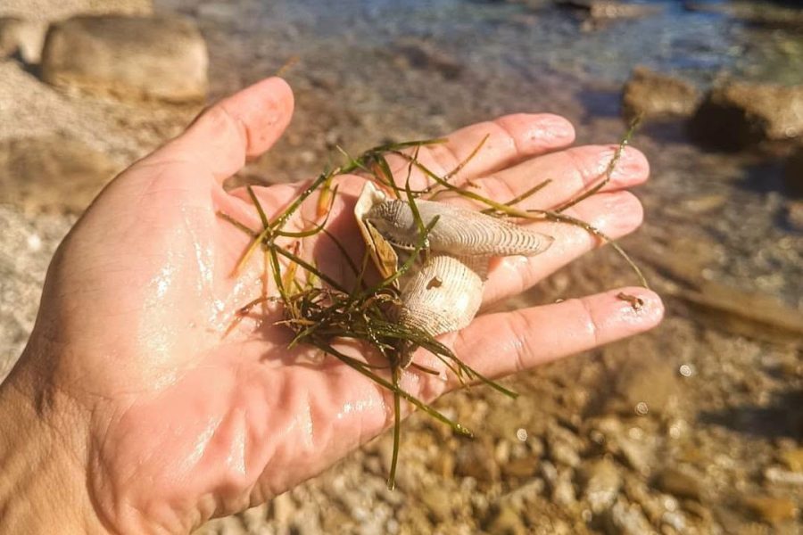 Razne Šute i nasipanje šute, dok građani šute: I obali u Stobreču prijeti ekocid
